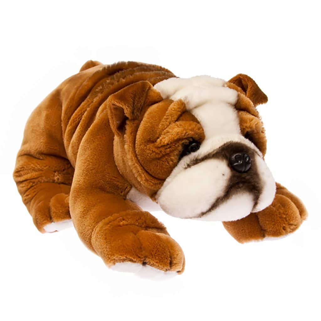 Boston the Bulldog