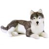 Bocchetta Rocco the Husky without pocket 62cm