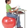 Sit N Gym 55cm