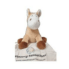 Fuzzy Wuzzy the Weighted 2kg Horse