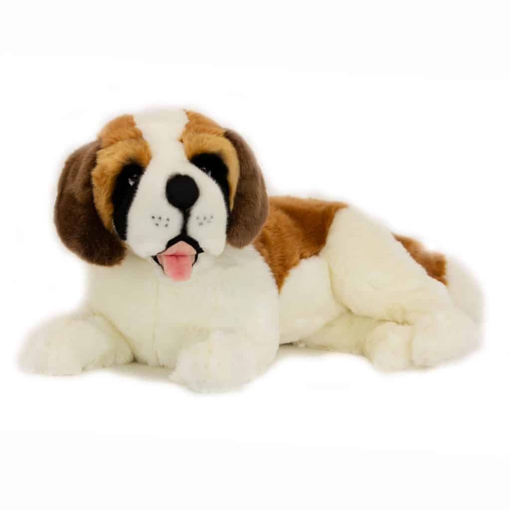 Fergie St Bernard