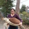 Cuddlekins Jumbo Sea Turtle - Image 4