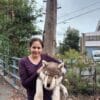 Cuddlekins Jumbo Wolf - Image 3
