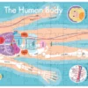 The Human Body - Book & Puzzle - Image 2