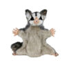 Sugarglider