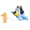 Bluey Swimmer