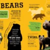 5000 Amazing Facts - Image 3