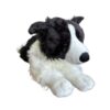 Marshall Big Border Collie