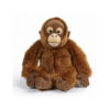 Orangutan