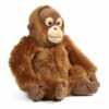 Okie Orangutan