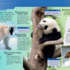 1001 Questions & Answers - Image 3